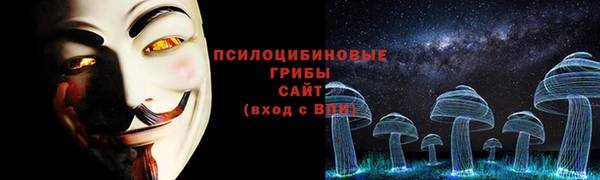 мяу мяу мука Михайловка