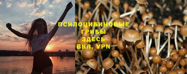 амф Михайловск