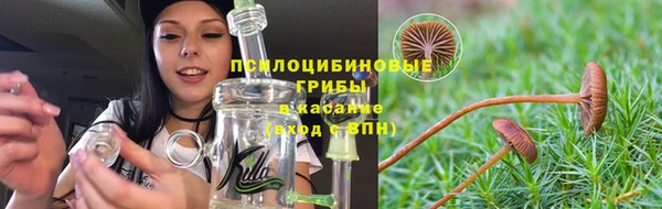 амф Михайловск