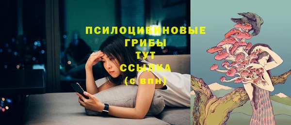 амф Михайловск