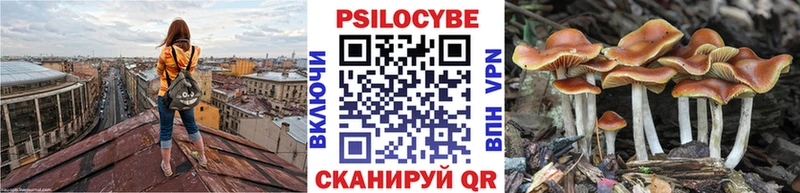 Псилоцибиновые грибы Psilocybe  Ревда 