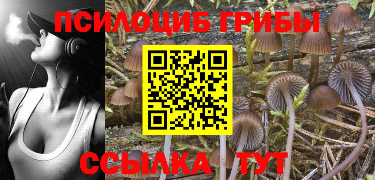 Галлюциногенные грибы Psilocybine cubensis  Вход с VPN  Ревда 
