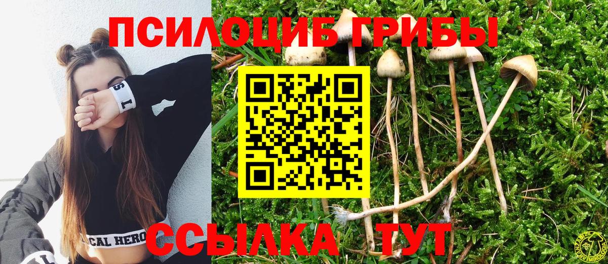 Галлюциногенные грибы мицелий Ревда